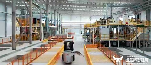 聰明的車駛上智慧的路 湖北移動(dòng)賦能5G全連接汽車工廠，開啟智能車飾新篇章